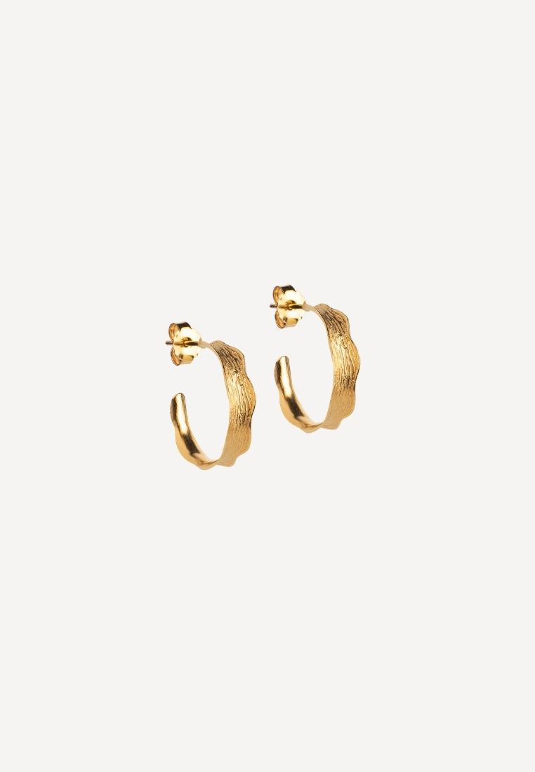 Ane small hoops ørering - Gold