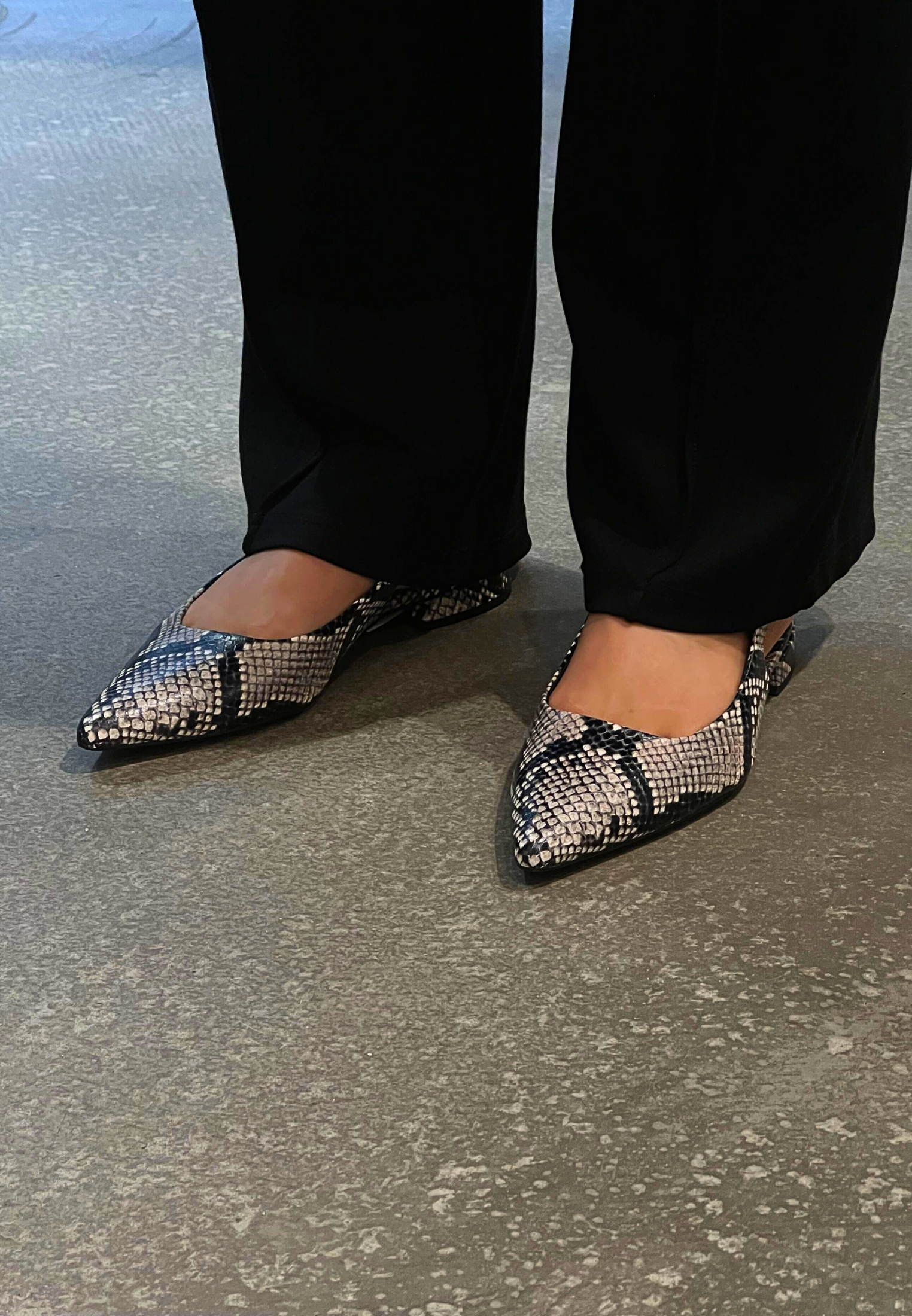 9-10 1909 slingback - Snake
