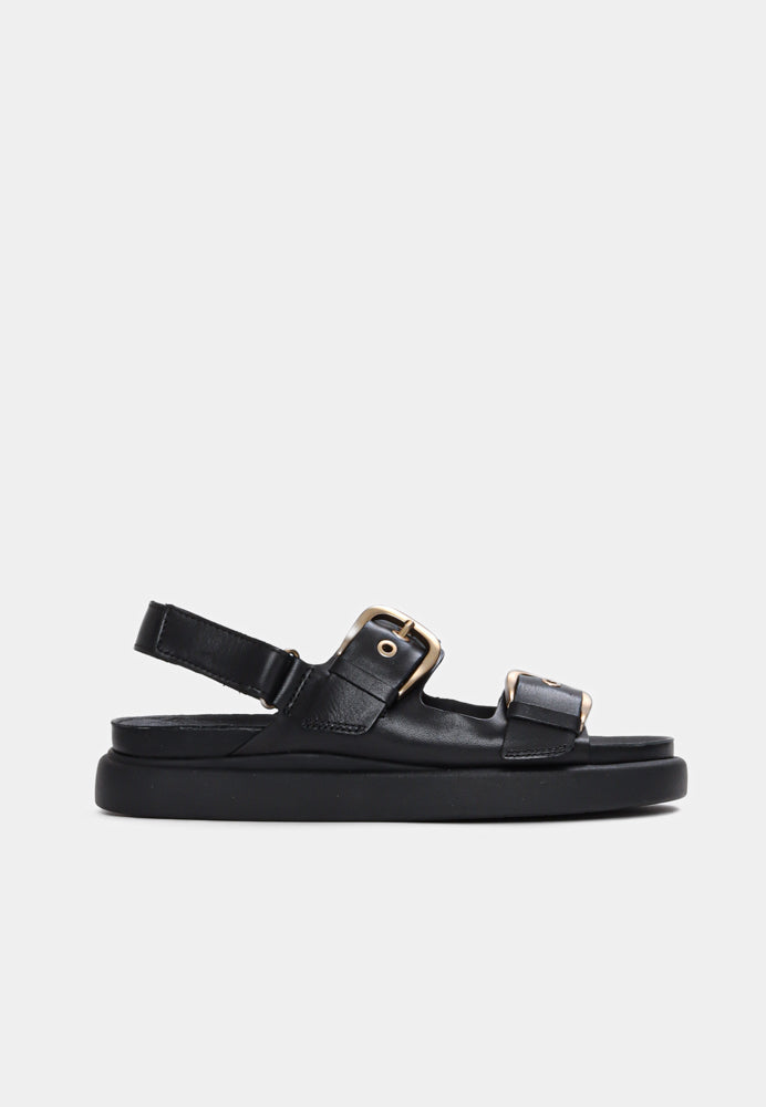 Aristella Bay D sandal - Black
