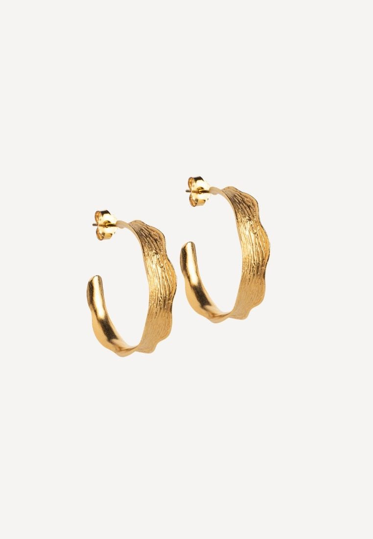 Ane large hoops ørering - Gold